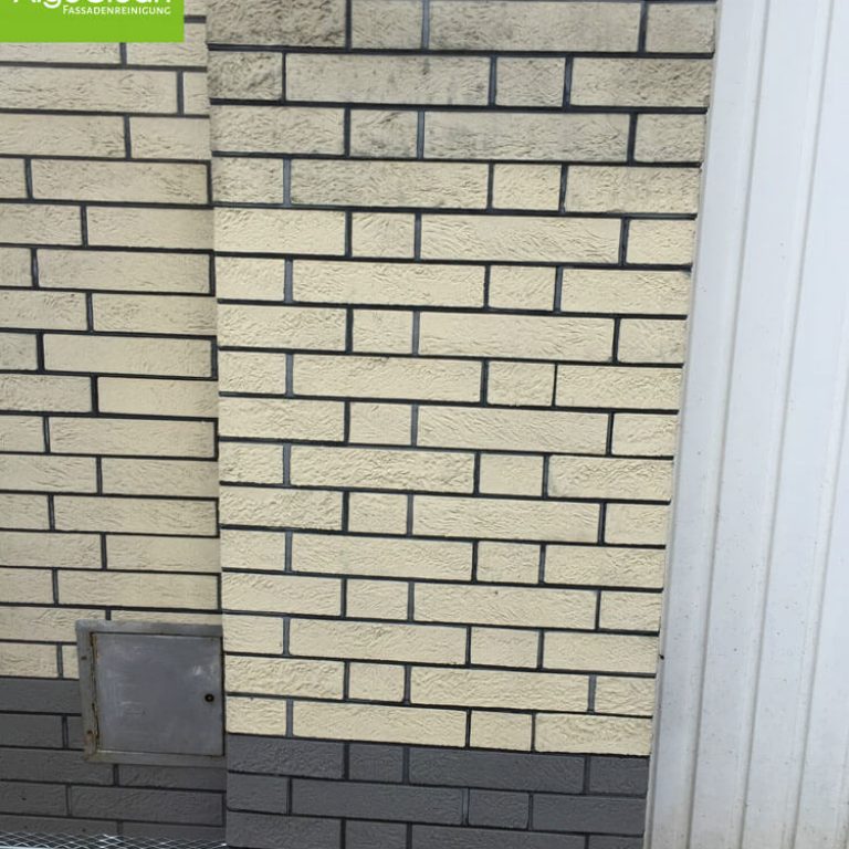 Algenentfernung an Fassaden – gereinigte gemauerte Hauswand