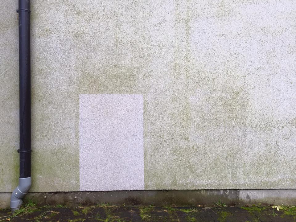 Algenentfernung an Fassaden – Vorher Nachher Vergleich algenfreie Probestelle der Hauswand