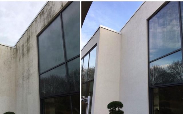 Algenentfernung an Fassaden – algenfreie Hauswand nach unserem Einwirken