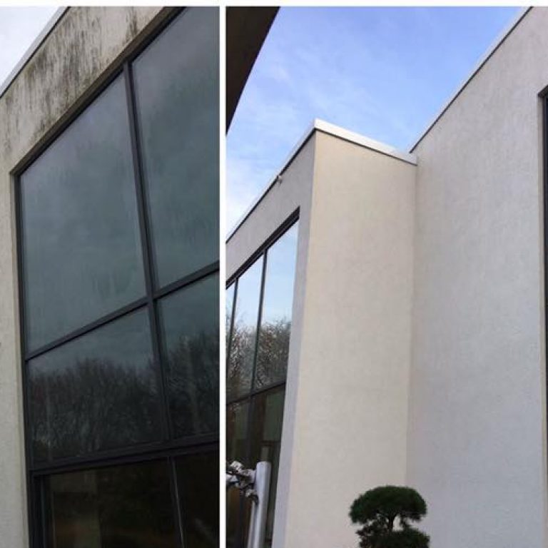Algenentfernung an Fassaden – algenfreie Hauswand nach unserem Einwirken