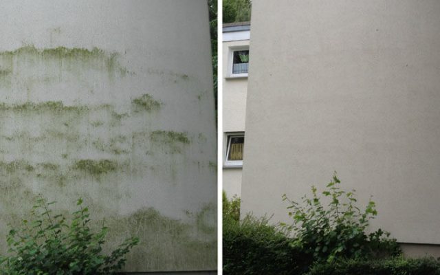 Algenentfernung an Fassaden – Der Vergleich vor und nach der Prozedur