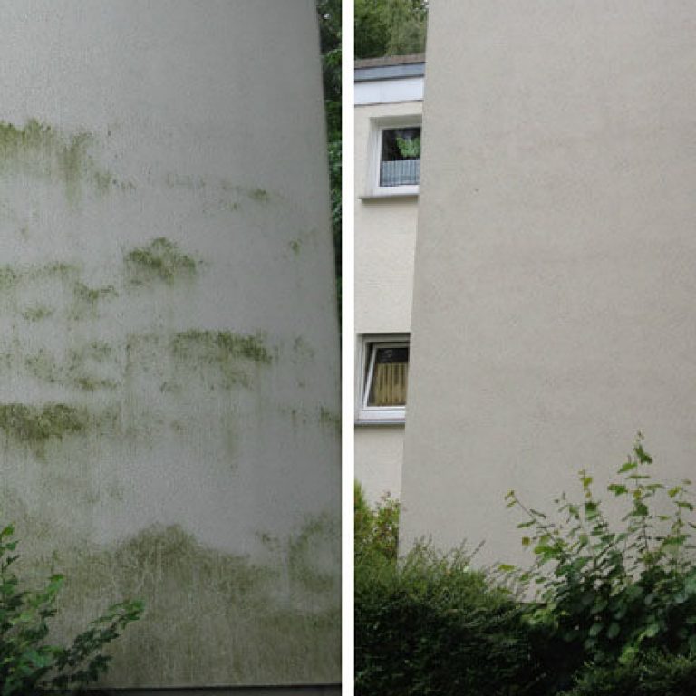 Algenentfernung an Fassaden – Der Vergleich vor und nach der Prozedur