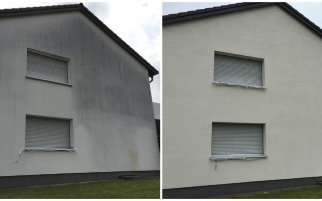 Algenentfernung an Fassaden – algenfreie Hauswand durch unsere Arbeit