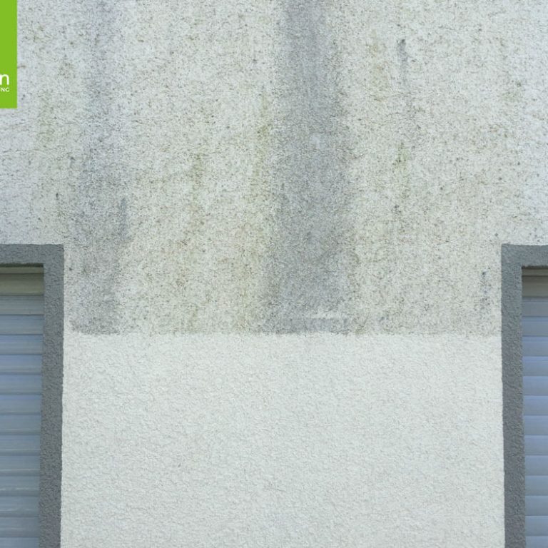 Algenentfernung an Fassaden – Beispiel einer Probefläche