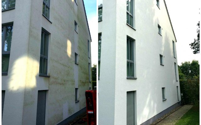 Algenentfernung an Fassaden – Vorher und Nachher im Vergleich
