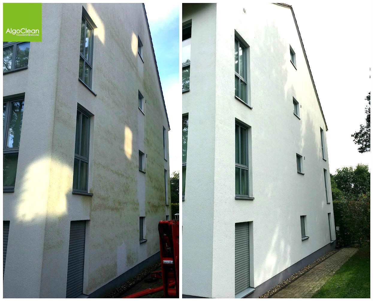 Algenentfernung an Fassaden – Vorher und Nachher im Vergleich